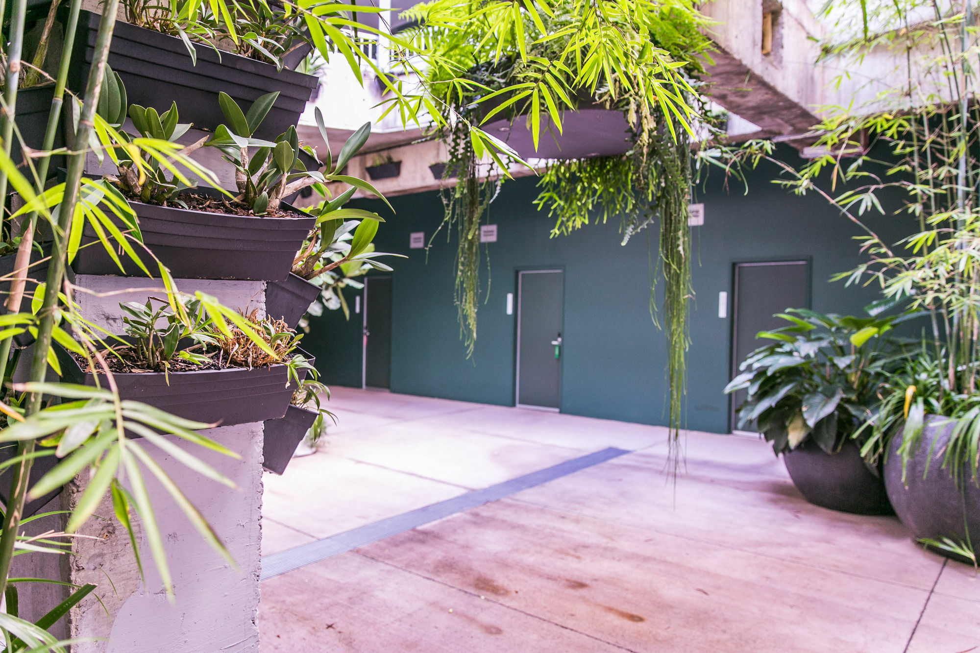 The Urban Newtown Hotel Sydney Eksteriør billede